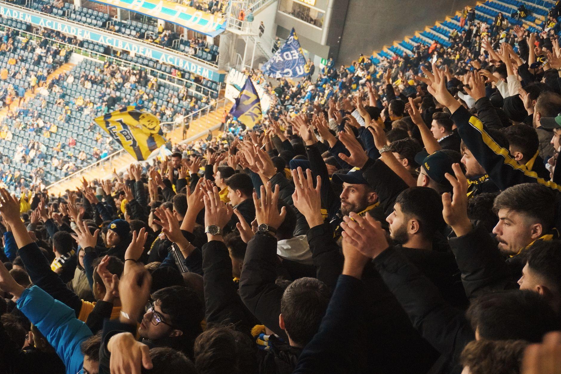 Supporters en liesse dans les tribunes d'un stade lors d'un match professionnel