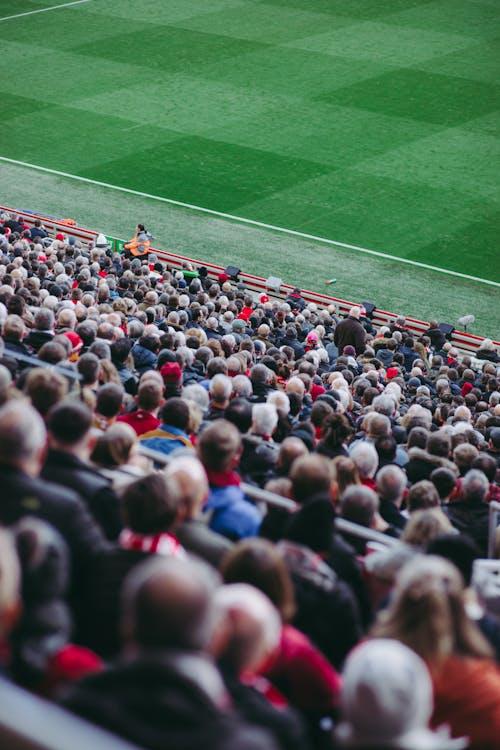 Supporters dans les tribunes d'un stade de football professionnel